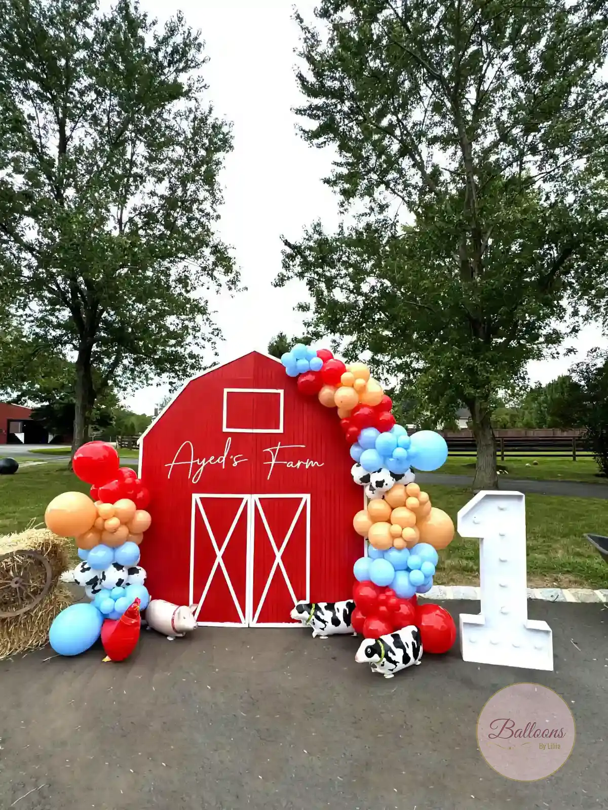 corporate balloon backdrop for photo booth NYC